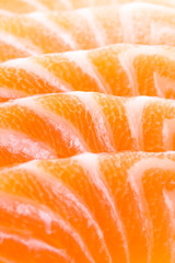 Salmon meat close up