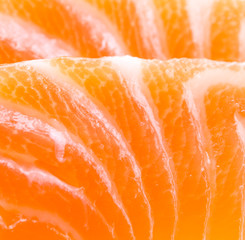 Salmon meat close up