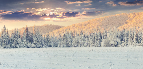 Panorama of the winter sunrise in the mountains.