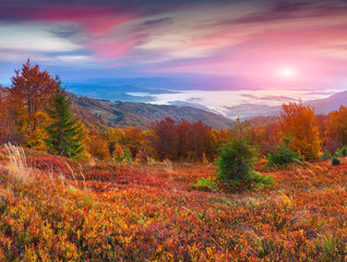 Colorful autumn sunrise in the mountains