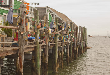 Cape Cod