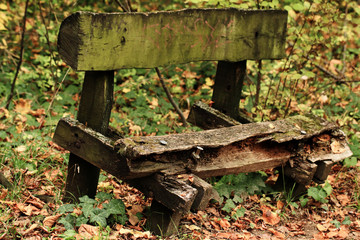 Old bench