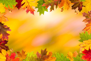 Naklejka na ściany i meble A frame made with autumn leaves and sunny bokeh background
