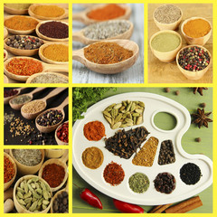 Collage of different spices