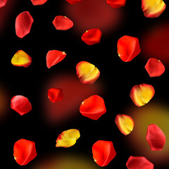 Falling rose petals