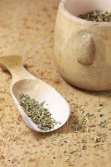 Kräuter der Provence