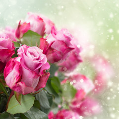 bouquet of pink  roses