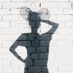 Photo of shadows of woman with ears