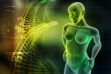 woman female human body