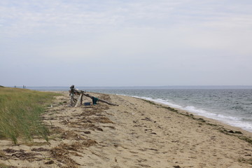 Cape Cod