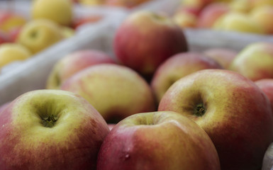 Apples in box