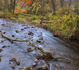 Obraz na płótnie Canvas Autumn river with leaves