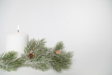 kerze mit tannenzweig zu weihnachten