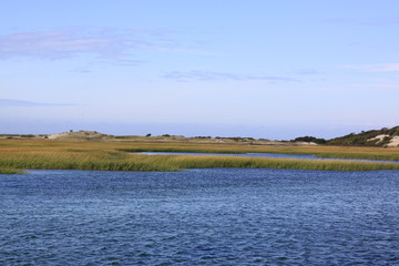 Cape Cod