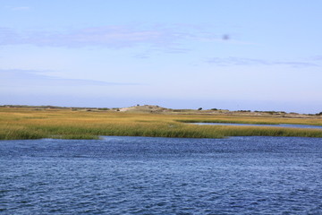 Cape Cod