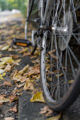 Bike in autumn