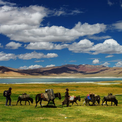 Ladakh - obrazy, fototapety, plakaty
