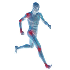 3D human man anatomy with articular pain