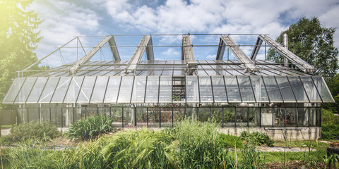 greenhouse in a sunny day
