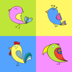 set of color birds for design