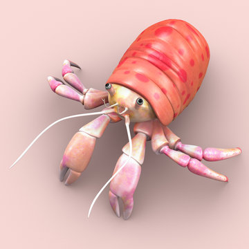 Adamsia