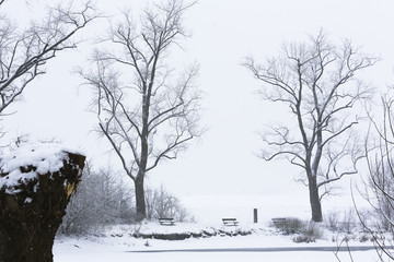 Winterlandschaft