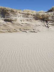 Düne mit am Strand