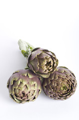 Obraz premium Zwei verschiedene Sorten lilafarbene Artischocken