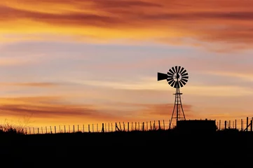 Foto auf Acrylglas Sunset windmill © richardlight