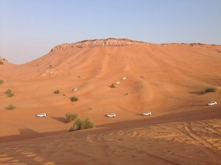 Fototapeta na wymiar desert safari in Dubai