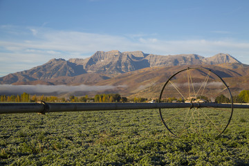Beautiful mountain valley hay field with irrigation sprinkler