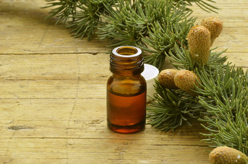 Pinus Fyrreslægten Pino Pine Kiefern Pin Sosna Сосна صنوبر