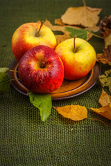 Autumn colorful sweet apple on the table