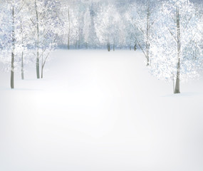 Vector winter snow landscape.