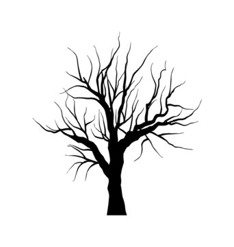 Sketch of dead tree without leaves , isolated on white backgroun