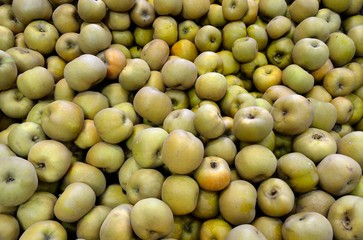Pommes en vrac