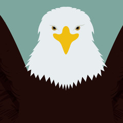 Animal design