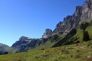 Natur am Klausenpass