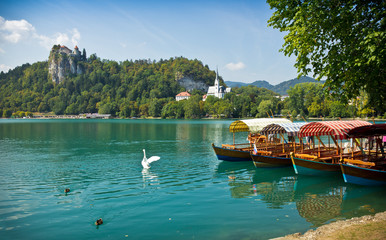 boats on Lake Bled horizontal with swan