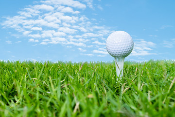 Golf ball on tee on white background