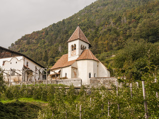 Fototapeta na wymiar Meran, Vinschgau, Waalweg, Algund, Südtirol, Herbst, Italien