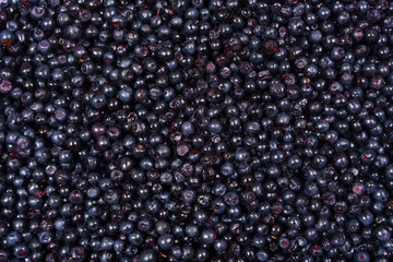 Blueberry background