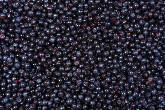 Blueberry background