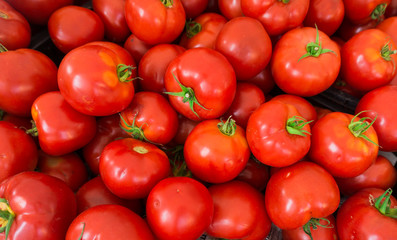 red tomatoes at the market. Fresh ripe tomatoes