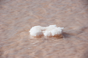 salt collection