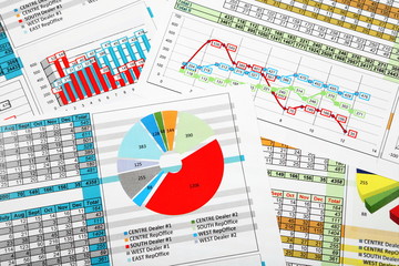 Business Reports in Multicolor Charts
