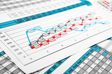 Fototapeta premium Reports in Multicolor Graph and Figures