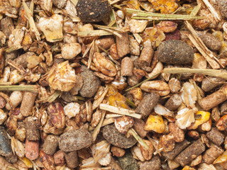 background of sportive elite muesli for horses. macro