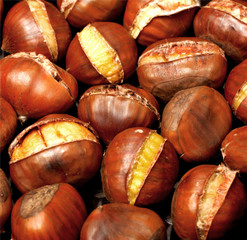 Maroni