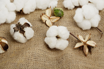 cotton balls